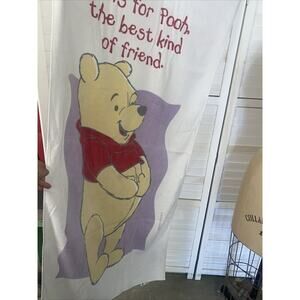 Vintage Franco Disney Winnie The Pooh P Is For Pooh Cartoon Beach Towel 28”x 54”